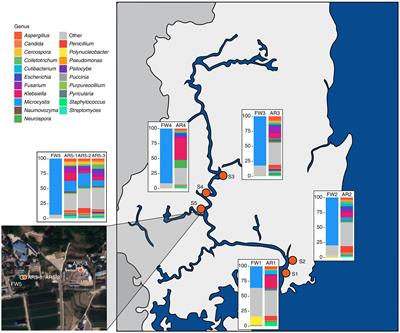 Microbial communities in aerosol generated from cyanobacterial bloom-affected freshwater bodies: an exploratory study in Nakdong River, South Korea